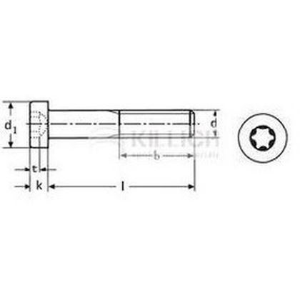imbus M6x10 ZINOK 8.8 nízká hlava TORX DIN 7984 TX