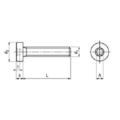 imbus M3x5 A2 NEREZ TORX nízká hlava BN 15857