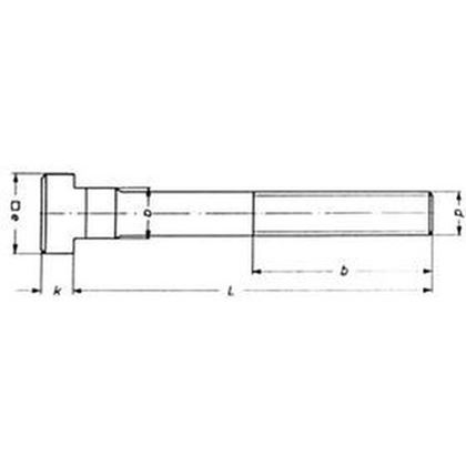 skrutka M10x10x63 BEZ PÚ 10.9 T-hlava DIN 787