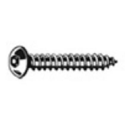 skrutka plast 3.5x12 polguľatá hlava TORX WN1452/BN13265