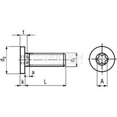 skrutka M8x16 ZINOK 8.8 extrémne nízká hlava TORX BN 9524